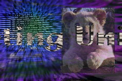 Image result for How to Start Write Unix Scripts