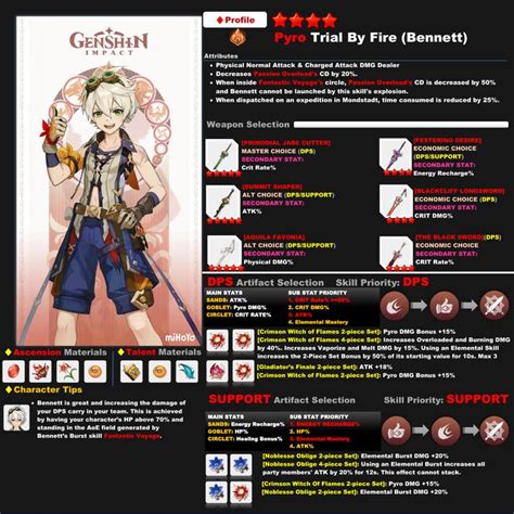 Image result for Pyro Build Solo Build