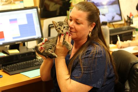 Franklin Lakes Animal Hospital