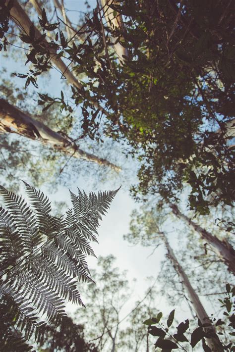 Southern Hardwood And Floor Supply