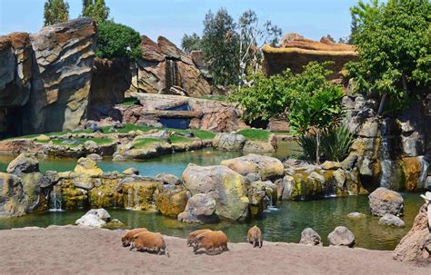 Zoos In Spanish at John Miguel blog