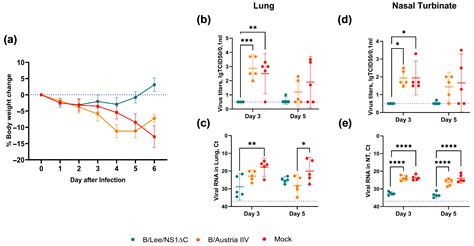 Novel Intranasal Replication-Deficient NS1ΔC Flu Vaccine Confers ...