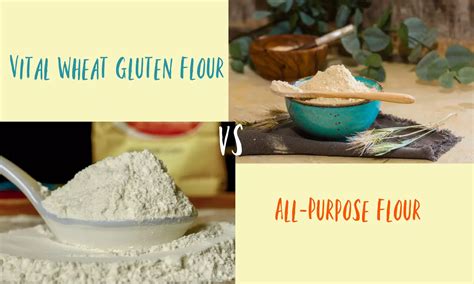 Vital Wheat Gluten Flour vs All-Purpose Flour: Everything You Need to ...
