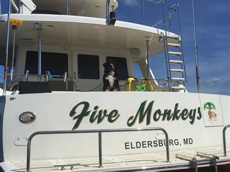 FIVE MONKEYS YACHT CHARTERS (2026) All You Need to Know BEFORE You Go ...