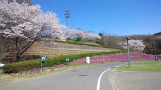 Image result for 2O2 Element