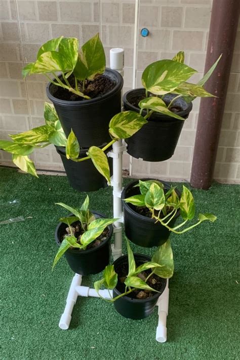 Image result for DIY PVC Pipe Stand