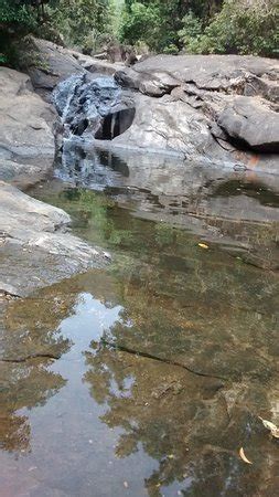 Meenmutty Falls (Kalpetta) - What to Know Before You Go (with Photos ...