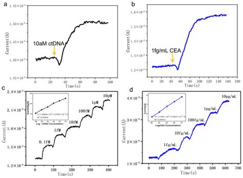 High-Performance Silicon Nanowire Array Biosensor for Combined ...