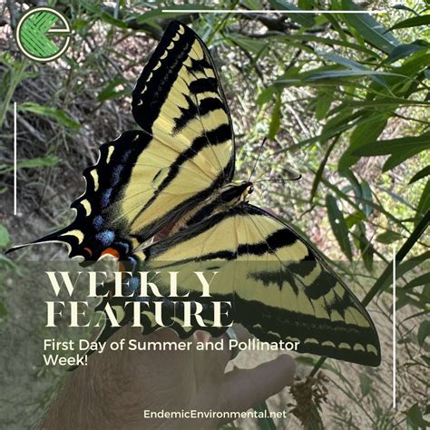 Endemic Environmental Services, Inc on LinkedIn: #endemicenvironmental #endemic #pollinatorweek ...