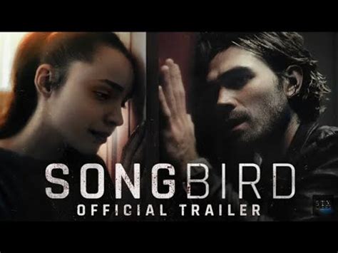 Songbird Predictive Programming 的图像结果