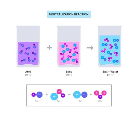 Image result for Acid and Base Neutralization