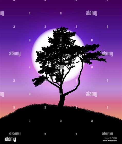 Sunset Silhouette Art Trees
