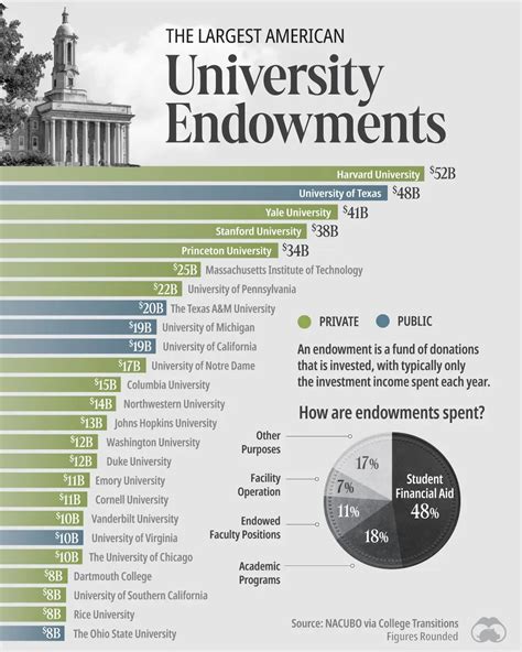 The Largest University Endowments in America 💰 - Voronoi