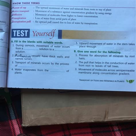 CHECK Point 1 pacio wat Fill in the blanks. plan 1. Vascular system is ...