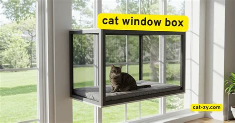 Image result for Best Cat Window Boxes