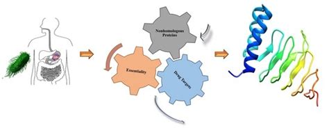 Identification of a Novel Therapeutic Target against XDR Salmonella ...
