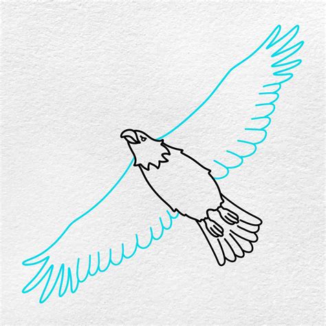 Soaring Eagle Sketch
