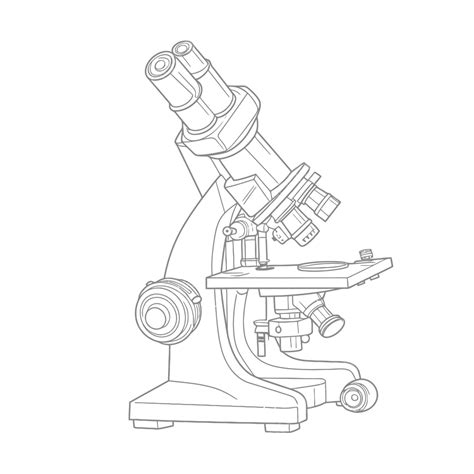 Binocular Microscope Drawing