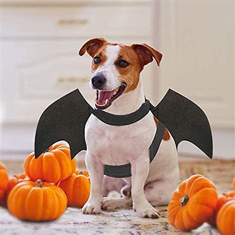 Dog Bat Costume for Halloween Pet Costume Medium Dog Dress Up ...