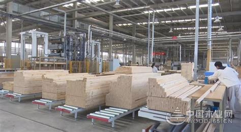 广西合浦乌家镇开展木材加工企业消防和安全生产排查-中国木业网