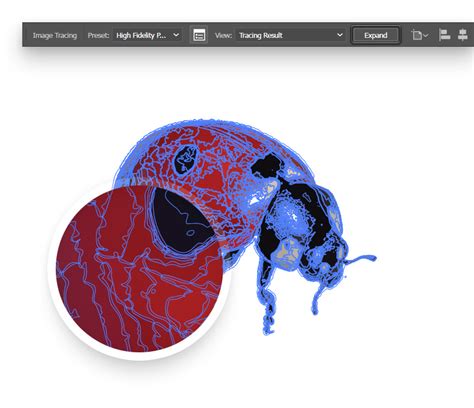 Image result for Create Vector Image Illustrator