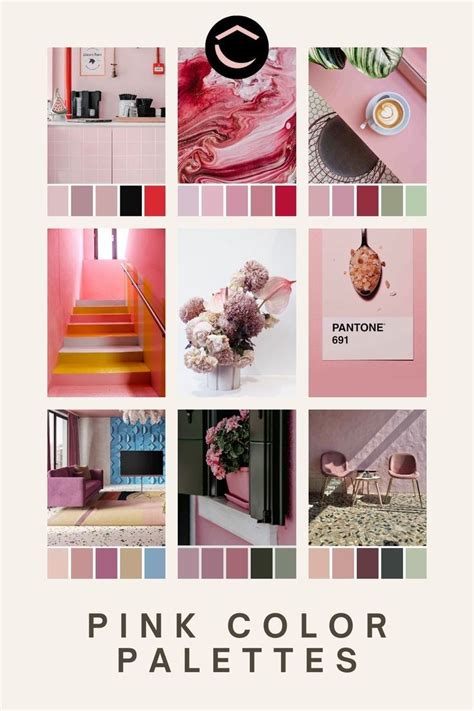 Image result for Color Schemes 101