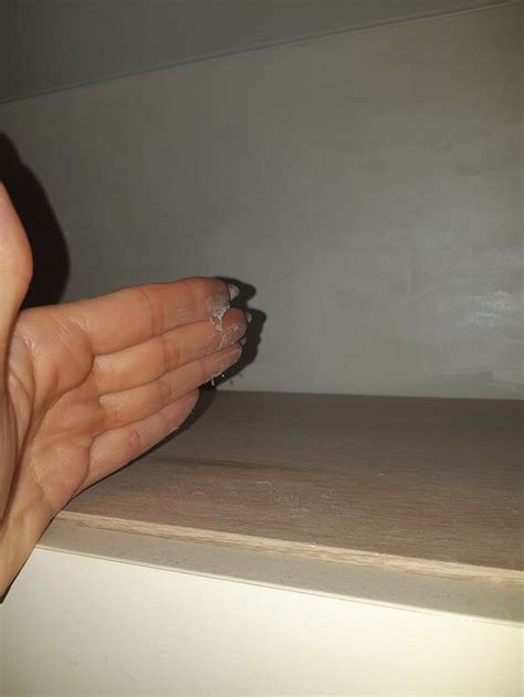 SET' APARTAMENTOV CHILPIL V TSENTRE (Belarus/Brest) - Specialty Hotel ...