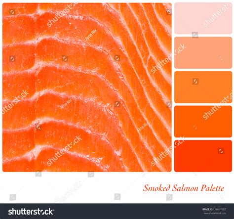 26 Guide To Selecting Seafood Royalty-Free Images, Stock Photos ...