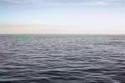 Sound of Fish Underwater 的图像结果