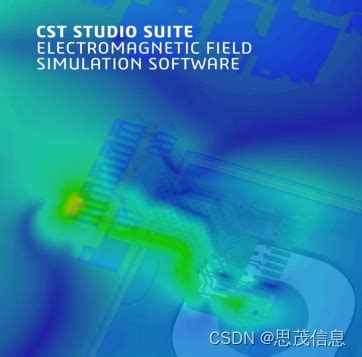 Computer Simulation Technology 的图像结果