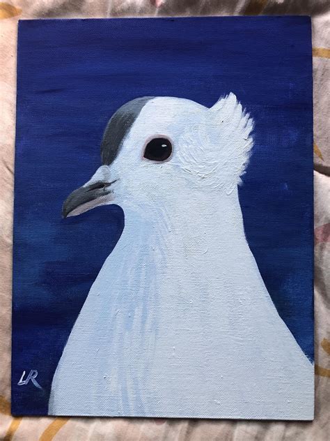 Portrait I made of model Anna Bernadi : r/AdobeIllustrator