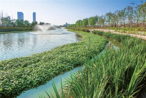 实施水生态修复给河道“美容”去污|欧保快讯|上海欧保环境:021-51388268