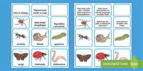 Dopasuj zwierzę do opisu | Gra memory | 2 poziomy - Twinkl