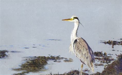 Lindy Ansty Exhibition, 78 Ballydrain Road, BT23 6EA Comber, United ...