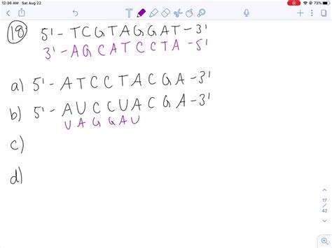 Image result for Complementary mRNA Strand