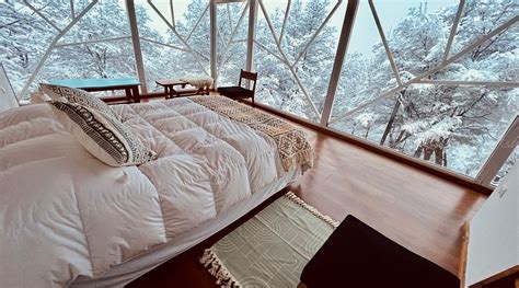 LODGE FUEGOS PATAGONIA (Coyhaique) - Lodging Reviews, Photos, Rate ...