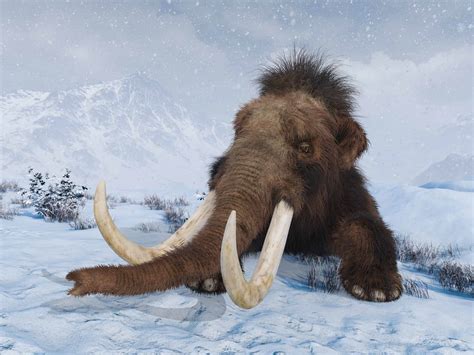 The Science Behind De-Extinction: Are We Ready for Woolly Mammoths Again? - Animals Around The Globe