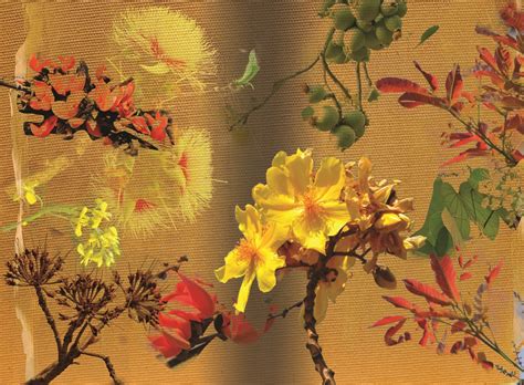 Ankdesign - Book Design, Graphic Design, Marketing Materials, Publishing