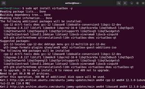 BlueStacks Linux 的图像结果