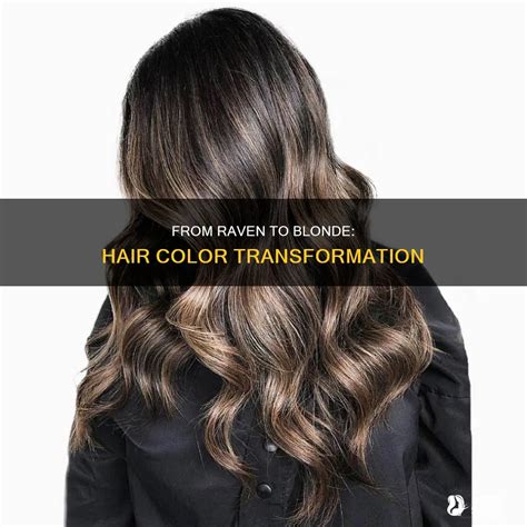 From Raven To Blonde: Hair Color Transformation | ShunSalon