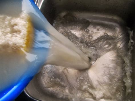 Homemade Mop Solution - The ReHomesteaders