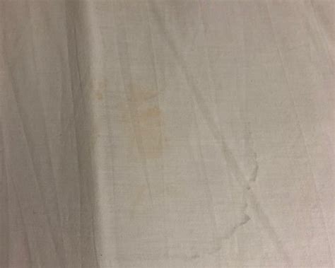 MOTEL 6 YAKIMA-DOWNTOWN - Hotel Reviews & Photos - Tripadvisor