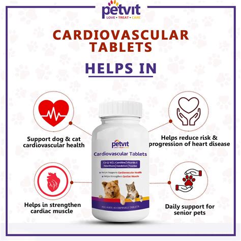 Buy PETVIT CARDIOVASCULAR TABLETS - ALL BREEDS OF DOGS & CATS 60 ...