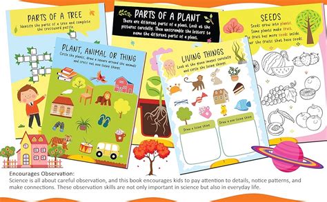 Buy Science Activity Book Age 4+ Book Online at Low Prices in India ...
