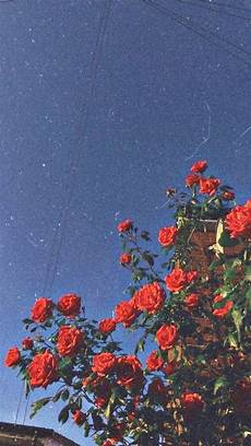 Home Screen Vintage Aesthetic Wallpaper by Wallpaper Vintage Retro Aesthetic Home Screen Vintage Aesthetic Wallpaper