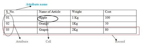 Image result for Keys in Database