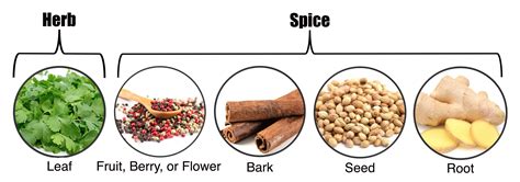 Herbs and Spices of the World – Curriculum Matrix | National ...
