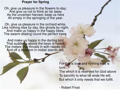 Image result for Reflection Prayer for Spring