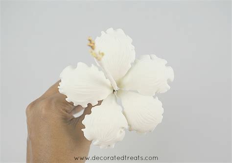 Fondant Hibiscus Flower Tutorial 的图像结果