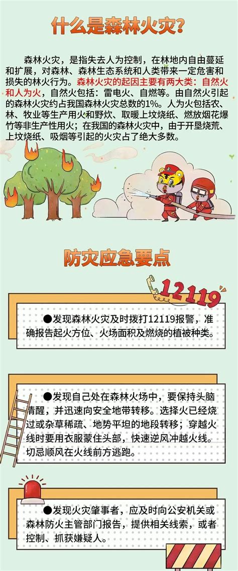森林防火 从我做起-郴州新闻网